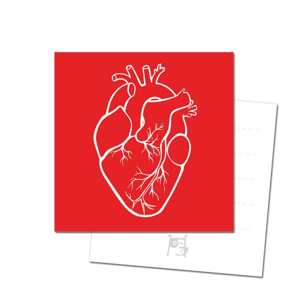 Открытка "Анатомическое сердце" (арт.4008)